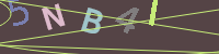 Image with captcha text
